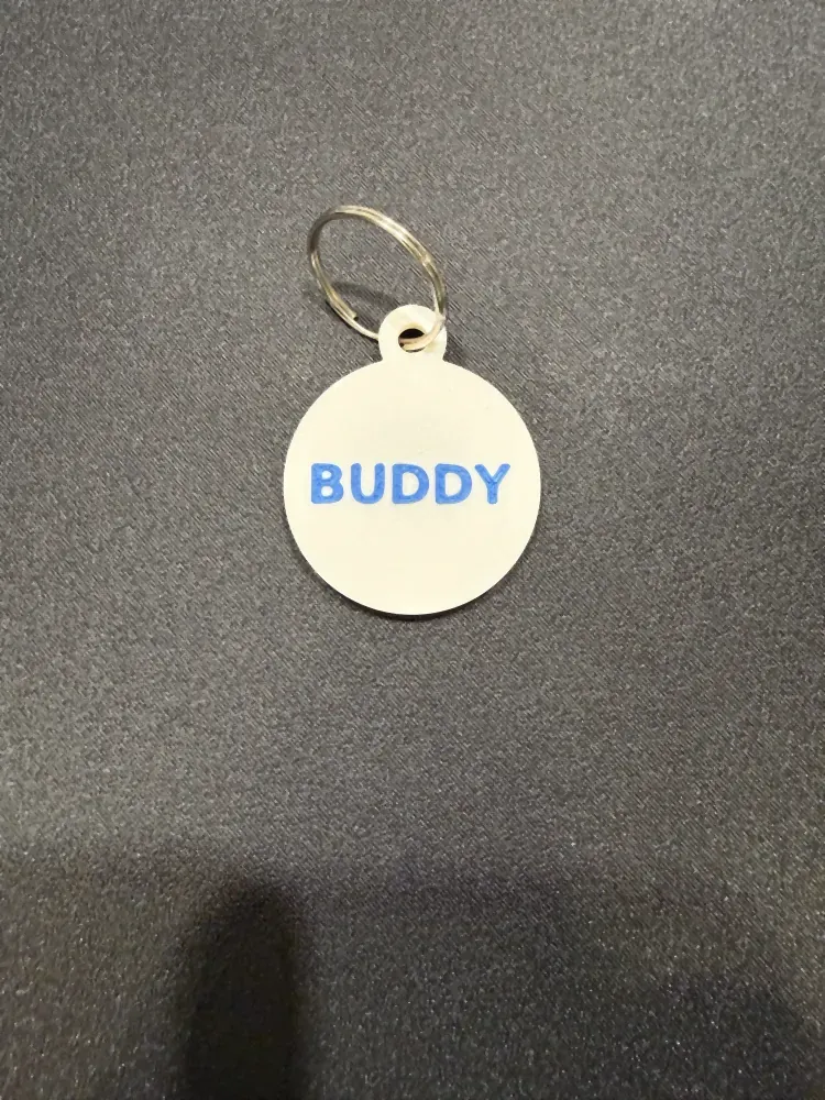 Round white pet tag reading BUDDY in raised blue letters, with its split ring